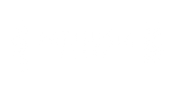 Parousia Press